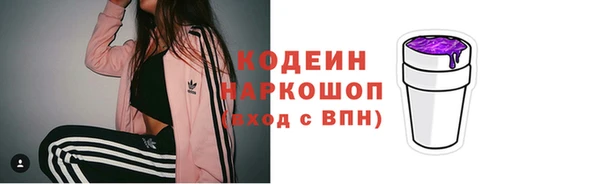 стафф Надым