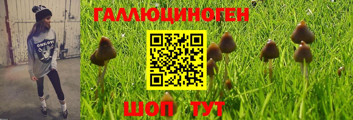 Псилоцибиновые грибы ЛСД Лангепас